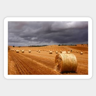 Harvest before the storm Sticker